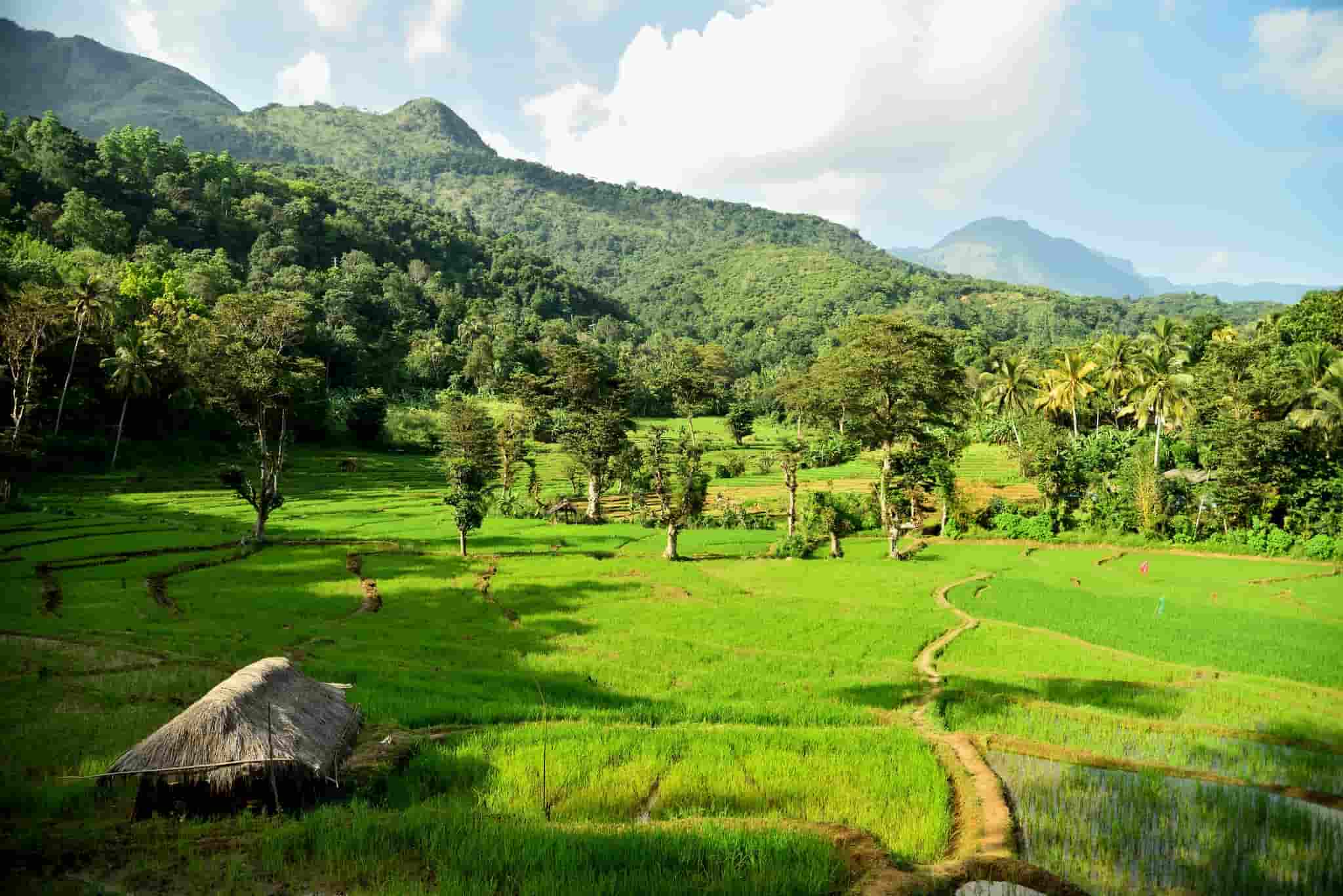 Belihuloya village tour